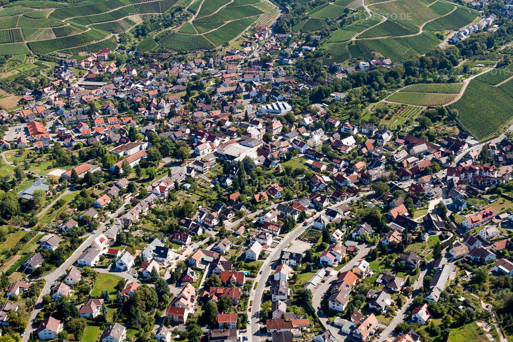 Luftbild: Weinbergen in Zell-Weierbach im Ortsteil Zell in Offenburg im Bundesland Baden-Württemberg in Deutschland. Foto: IMG_20775.jpg vom 31.08.2009 durch Werner Riehm/FLY-FOTO.de