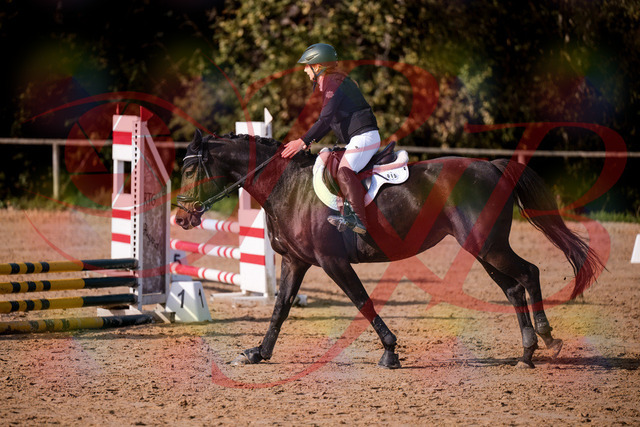 2026_10_03_Siefer-Hof_155008_Z81_69511017 | Professionelle Reitsport-, Turnier- und Eventfotografie von Robert Broda. Galerien mit ausgewählten und bearbeiteten Bildern direkt online ansehen und bestellen.