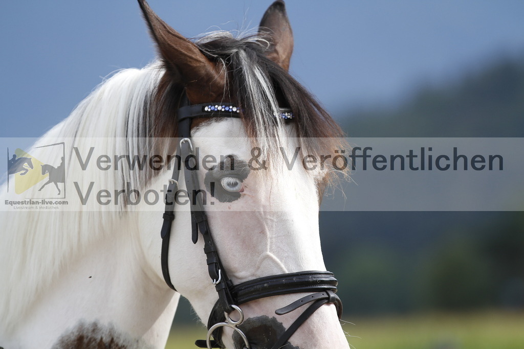 _MG_9769 | equestrian-live-com