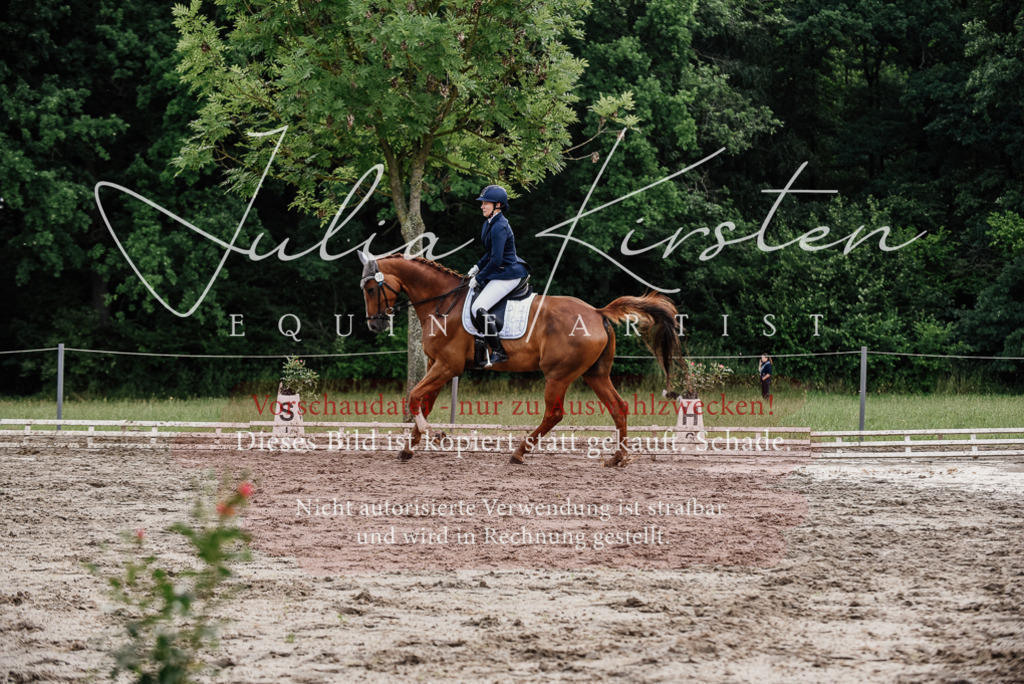 DSC_9925 | Pferde- und Turnierfotografie in Westsachsen. Pferdeportraits, Auftragszeichnungen und intuitive Kunst.
