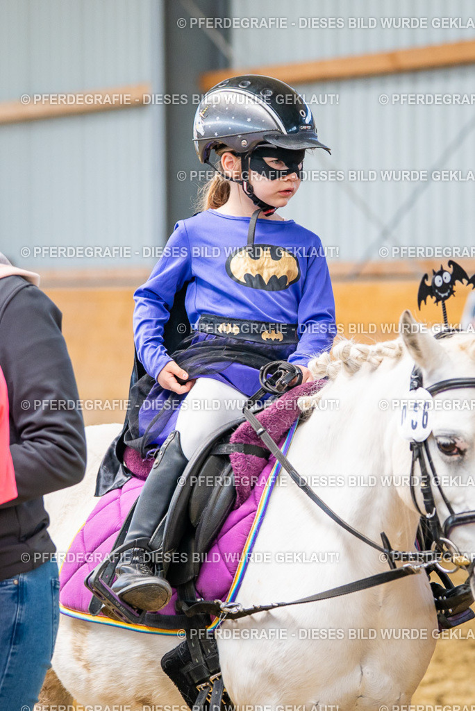 DSC00270 | Pferdegrafie