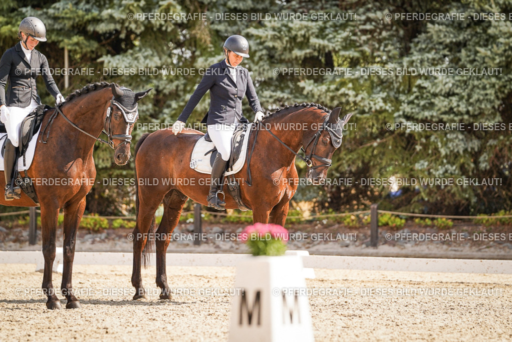 DSC00968 | Pferdegrafie