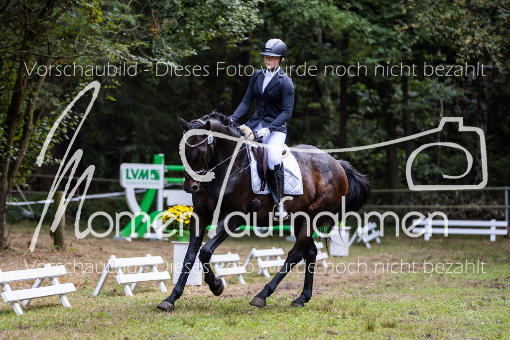 HB-Dressur-WB-018 | MomenTaufnahmen Pferdesportfotos