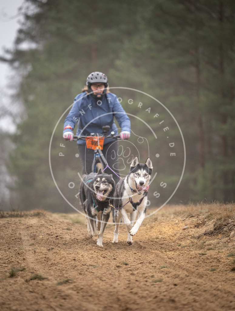 Pfotenfotografie_DV3A1210 | Hundefotografie, Tierfotograf, Pfotenfotografie, Fotoshooting Hund, Hunde Portrait, Hundesport, Hundeportraits, Heideshooting, Hunde, Sportfotograf, Hundefotograf, Turnierhundsport, THS,  - Realisiert mit Pictrs.com