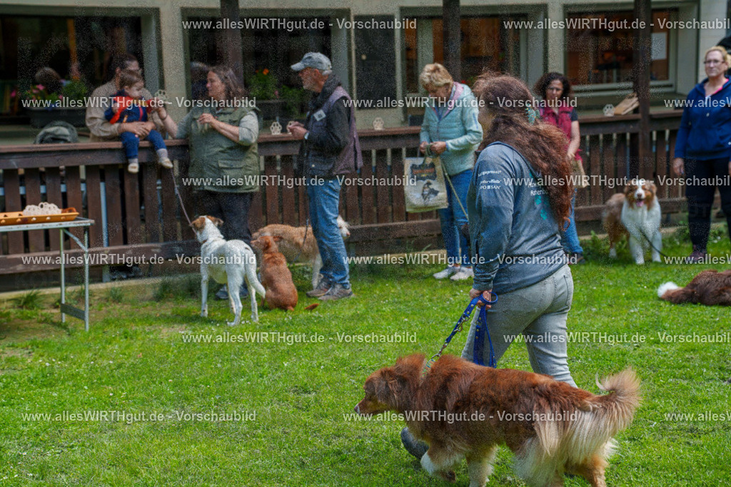 @allesWIRTHgut_Tierfotografie - www.allesWIRTHgut.de - 7R506159 | Professionelle Tierfotografie in Mönchengladbach von Daniel Wirth (allesWIRTHgut). Liebevolle & natürliche Bilder von Hunden & Katzen für unvergessliche Erinnerungen.