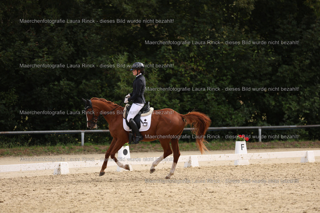 HG9A1684 | laurarinckfotografie - Realisiert mit Pictrs.com