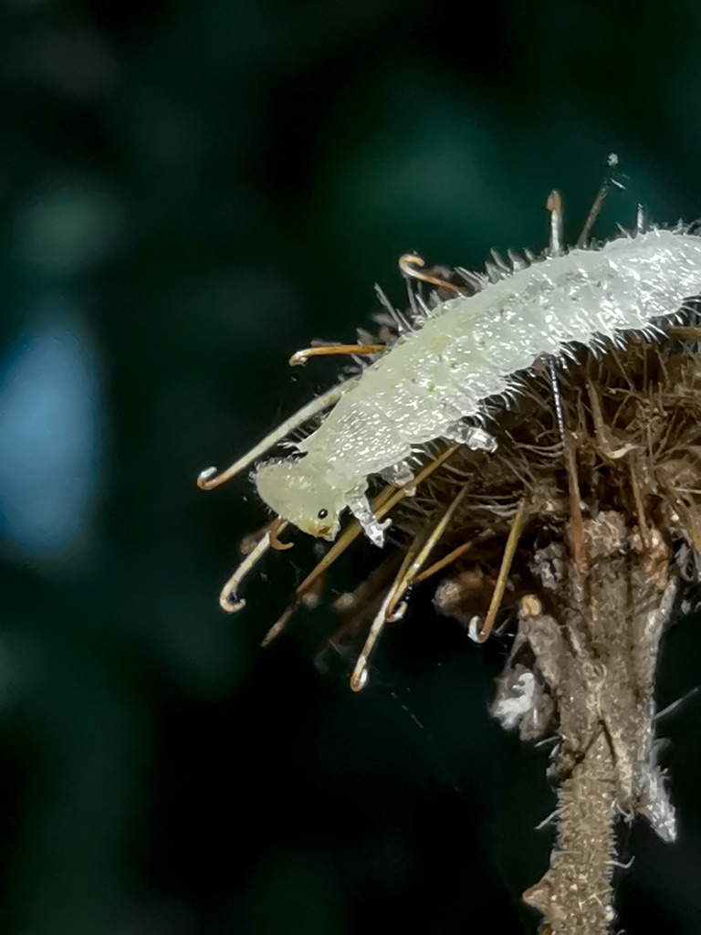 PSX_20230904_235517 | mtkfoto_ - Realisiert mit Pictrs.com