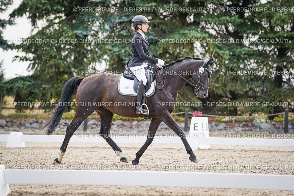 DSC00557 | Pferdegrafie