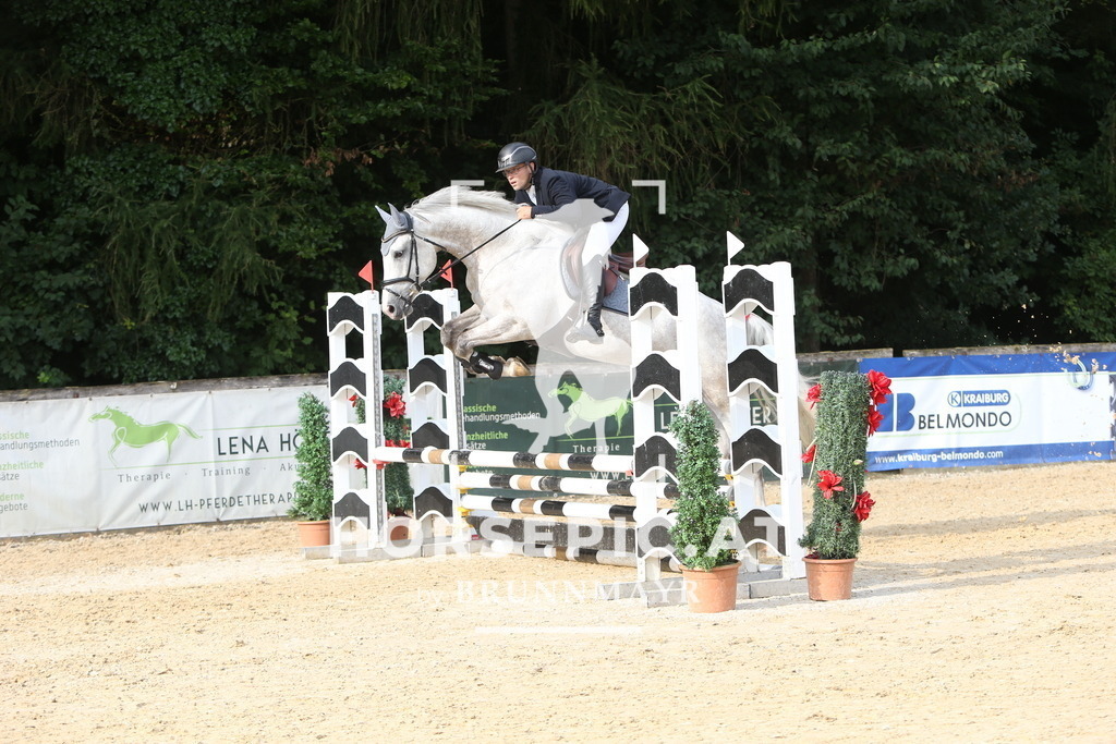 DL2Q0621 | Willkommen bei Brunnmayr - Design & Fotografie – Ihrem Spezialisten für Reitturniere und Pferdeveranstaltungen in Oberösterreich, Salzburg und Bayern! Seit über 17 Jahren sind wir leidenschaftlich dabei.