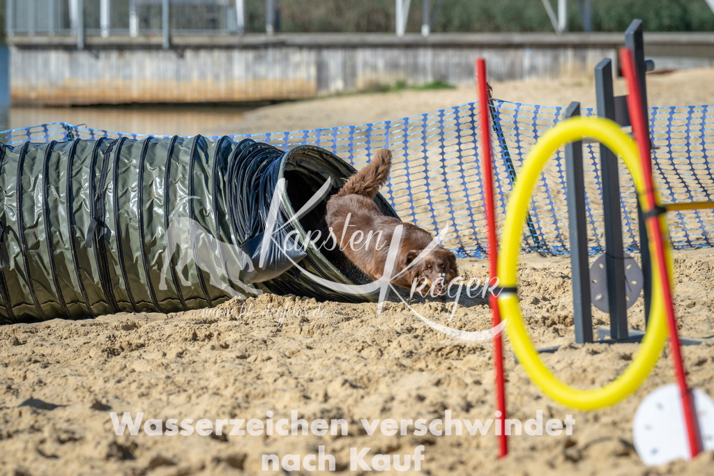1232_ZZ93258-2 | kk-dogfotos