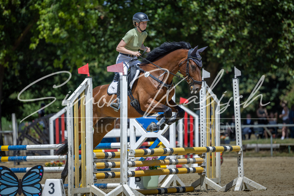 20260704-_3LI8540 | Tierfotografie Pferde, Hunde, Katzen, Haustiere.
Turnierfotografie Reitturniere, Reiten, Springreiten, Dressur in Hanau, dem Main-Kinzig-Kreis und dem Rhein-Main- Gebiet um Frankfurt