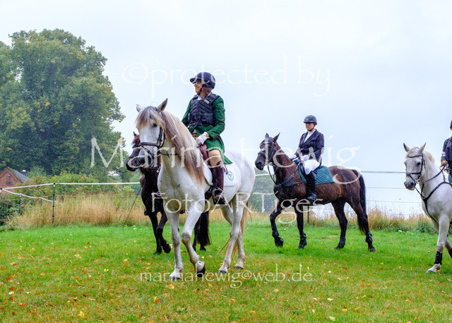 Jagd Kletkamp 26-9479_MarinaHewig | Fotografie, FotoArt, PferdesportArt, Pferdesportfotografie, Landschaftsfotografie, Reisefotografie, Reise, Pferde - Realisiert mit Pictrs.com