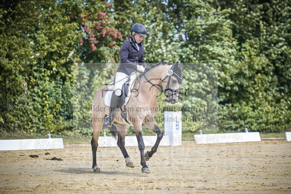 DOS_0278 | Entdecke hochwertige Reitturnierfotos von Foto Oger. Professionell, emotional und authentisch – jetzt Lieblingsmomente im Shop bestellen.Deutschlandweite Turnierfotografie. - Realisiert mit Pictrs.com
