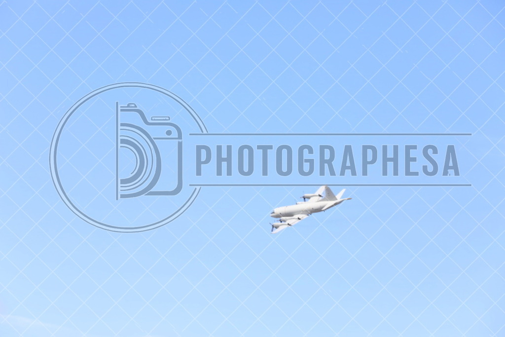 IMG_8806 | photographesa-joergens - Realisiert mit Pictrs.com