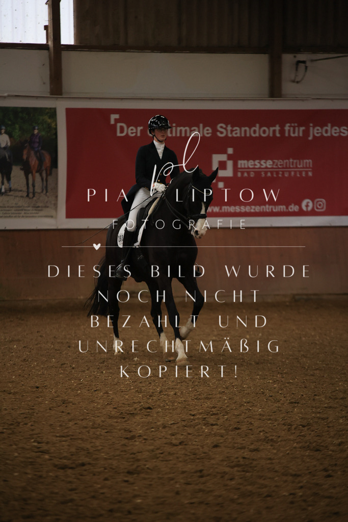 IMGT5992 | pl-fotografie