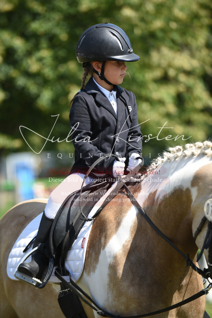 DSC_9827 | Pferde- und Turnierfotografie in Westsachsen. Pferdeportraits, Auftragszeichnungen und intuitive Kunst.