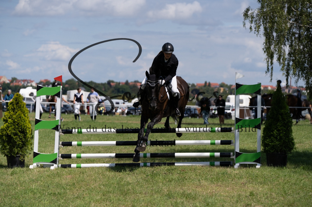 A7V04318 | Pferdefotograf