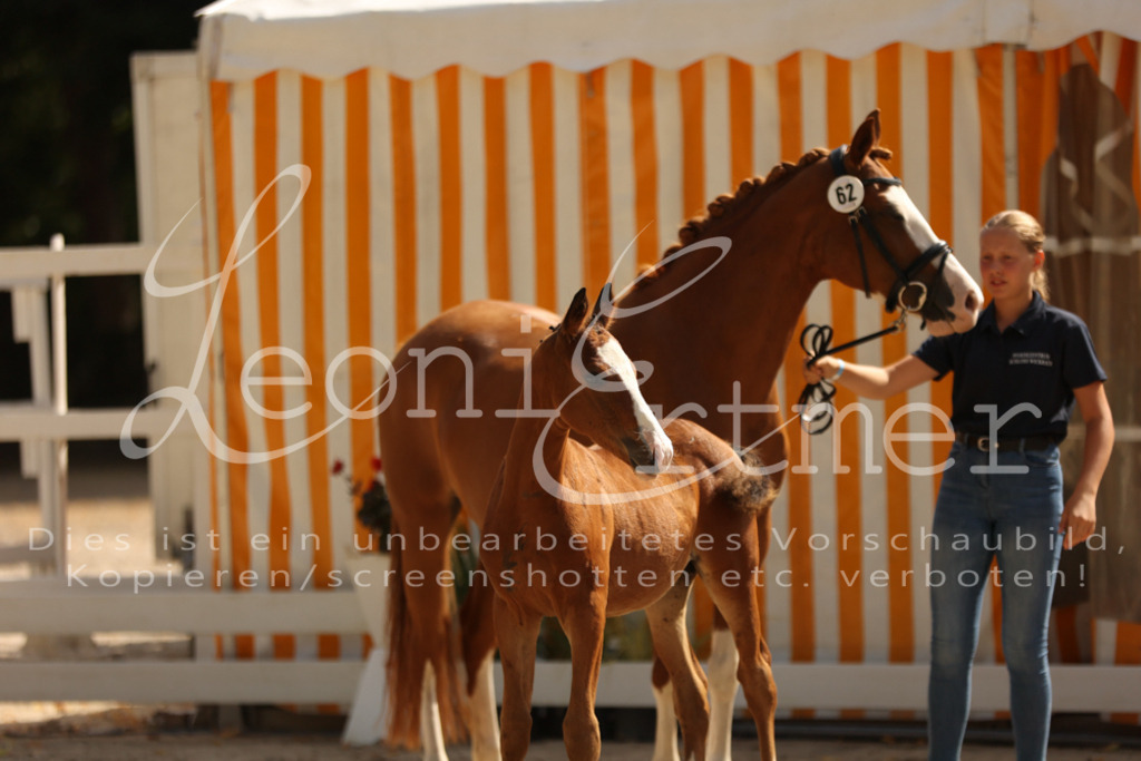 08.DoRPS00061 | Leoni Ertmer Photography - Realisiert mit Pictrs.com