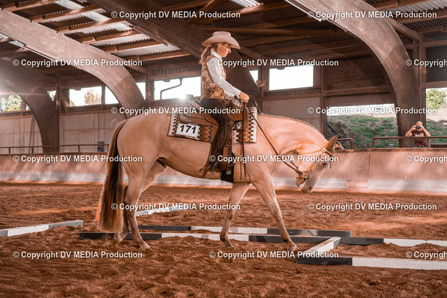 NE200124 | dv-media-shop - Realized with Pictrs.com