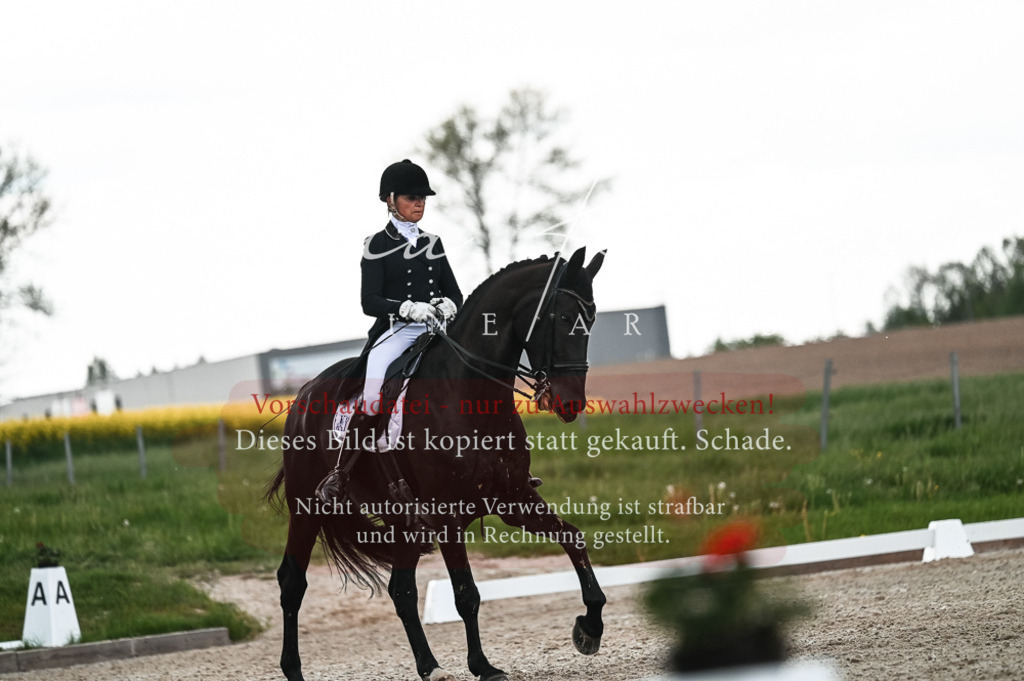 20230514_JK-Röhrsdorf-21-451 | Pferde- und Turnierfotografie in Westsachsen. Pferdeportraits, Auftragszeichnungen und intuitive Kunst.
