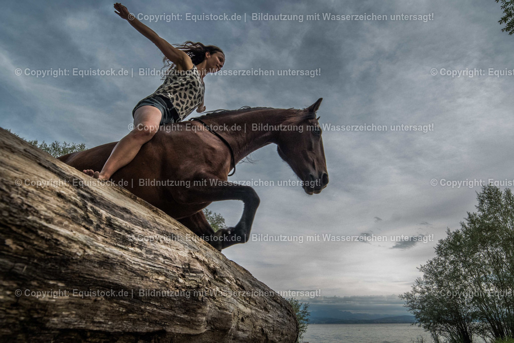 TS_20170616_Pferd_im_Wasser_0001 | Foto: Thomas Hartig