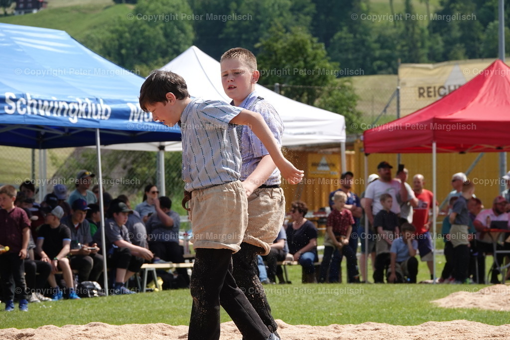 DSC04384 | Schwingen - Realisiert mit Pictrs.com