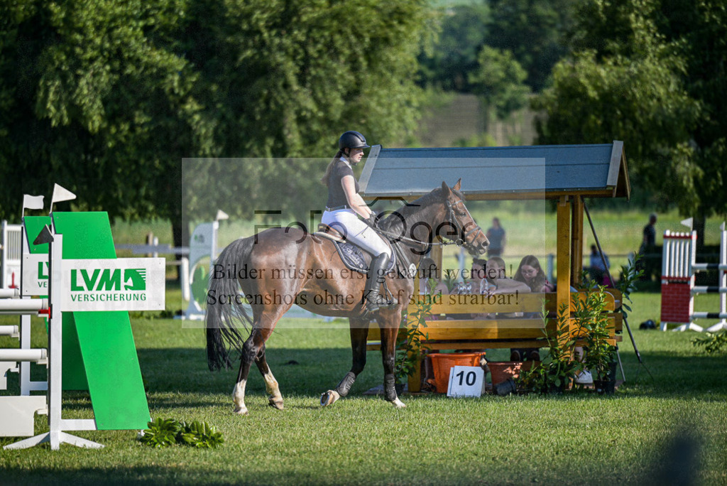 Reitturnier Voxtrup | Entdecke hochwertige Reitturnierfotos von Foto Oger. Professionell, emotional und authentisch – jetzt Lieblingsmomente im Shop bestellen.Deutschlandweite Turnierfotografie. - Realisiert mit Pictrs.com