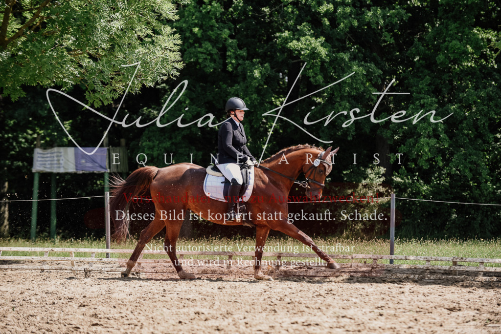 DSC_1336 | Pferde- und Turnierfotografie in Westsachsen. Pferdeportraits, Auftragszeichnungen und intuitive Kunst.