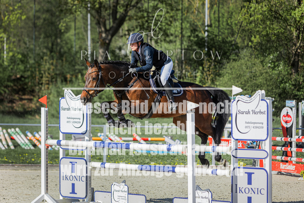 IMGM2710 | pl-fotografie