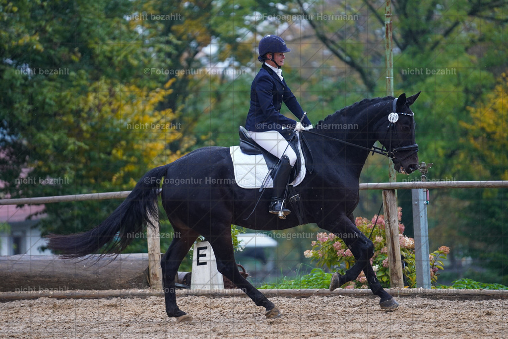 20221008-FAH02182 | Diessen am Ammersee, 2022, Dressur- und Springturnier, Reitsportbilder, Turnierfotografen Bayern, Pferdefotografen, Fotoagentur Herrmann, Turnierbilder