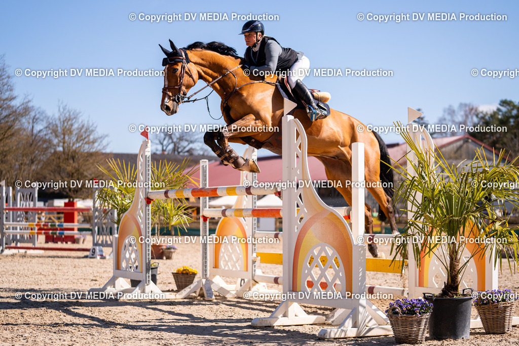Kranichstein Tag 2-823 | dv-media-shop - Realisiert mit Pictrs.com