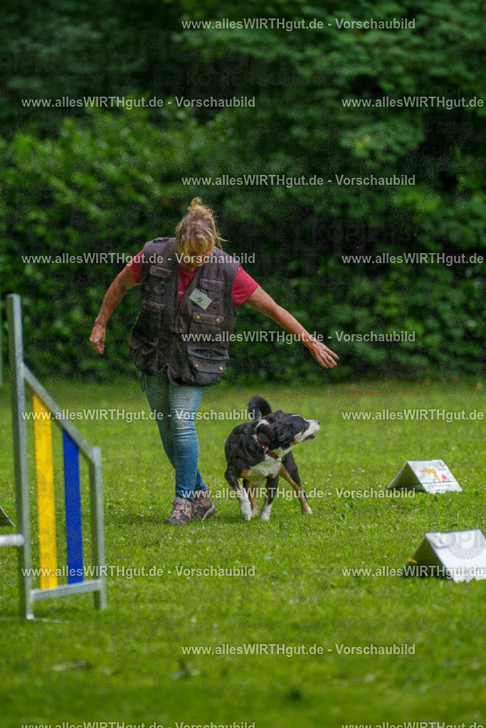 @allesWIRTHgut_Tierfotografie - www.allesWIRTHgut.de - 7R503393 | Professionelle Tierfotografie in Mönchengladbach von Daniel Wirth (allesWIRTHgut). Liebevolle & natürliche Bilder von Hunden & Katzen für unvergessliche Erinnerungen.