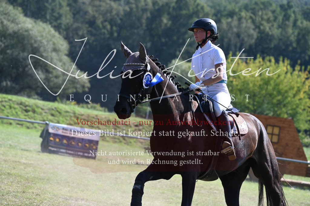 DSC_6514 | Pferde- und Turnierfotografie in Westsachsen. Pferdeportraits, Auftragszeichnungen und intuitive Kunst.
