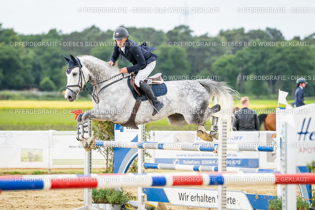 DSC06862 | Pferdegrafie