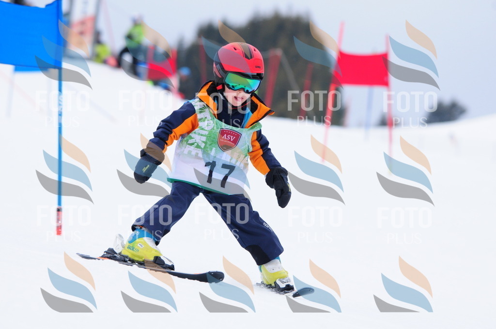 A3386 | holidayphoto