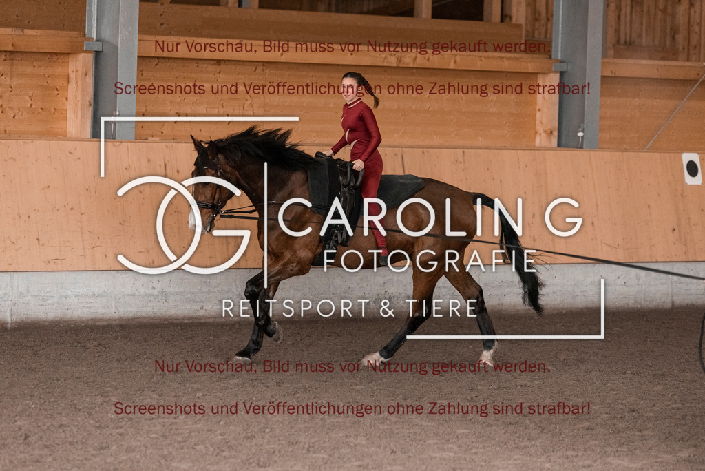 DSC_2018 | Turnierfotografin Carolin Gieschke,Reitsport Turnierfotografie Carolin G Fotografie | Turnierfotos aus Kirchheim/Teck, Esslingen, Stuttgart und dem Bodenseekreis