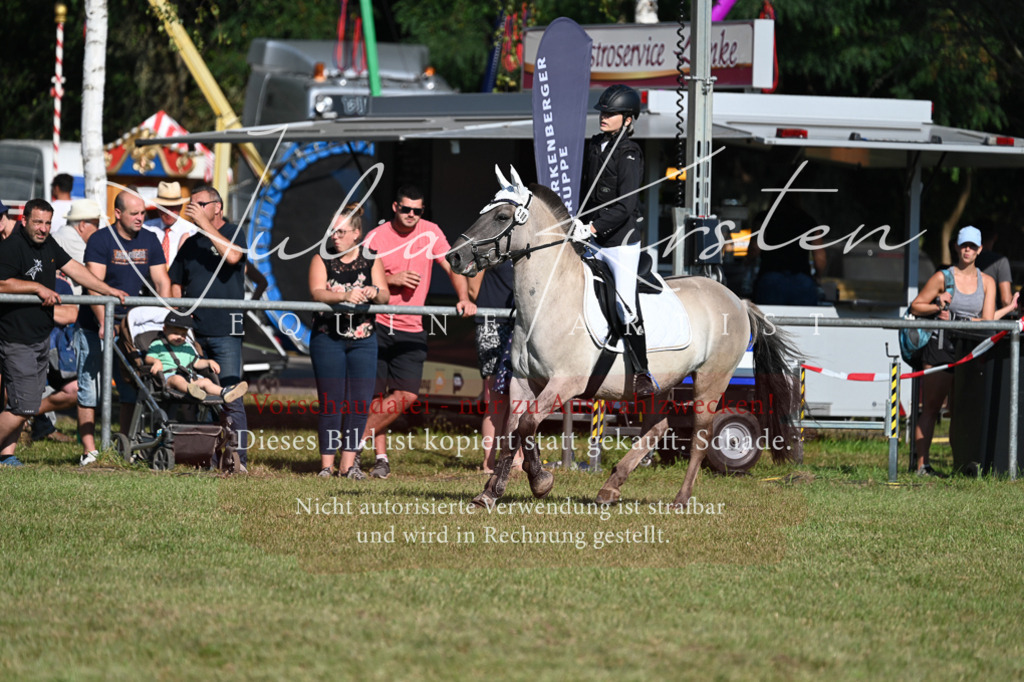 DSC_5254 | Pferde- und Turnierfotografie in Westsachsen. Pferdeportraits, Auftragszeichnungen und intuitive Kunst.