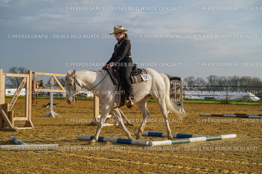 DSC00088 | Pferdegrafie