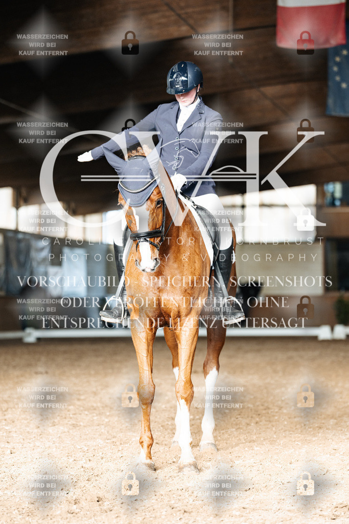 CK902830 | Turnierfotografie Pferdefotografie Trier Rheinland-Pfalz Pferdesport Reitsport Tierfotografie Sportfotografie Pferdevideo Pferdevideografie Equestrianvideography equestrianphotography  - Realized with Pictrs.com