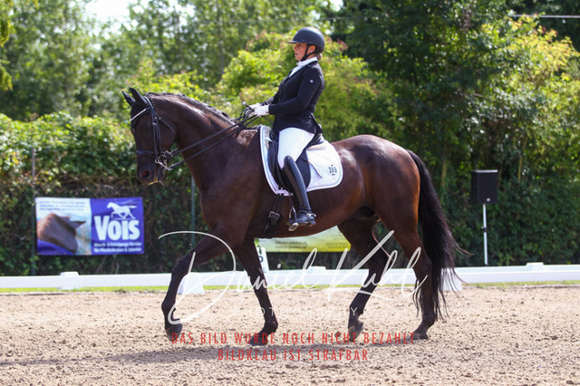 DKP41075 | Turniersportfotografie; Pferdefotografie; Dressurfotografie