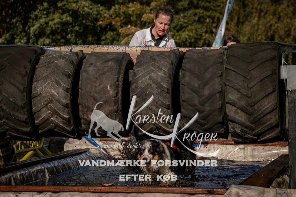 1357_ZZ93451 | kk-dogfotos