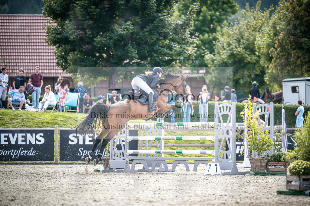 DOS_9738 | Entdecke hochwertige Reitturnierfotos von Foto Oger. Professionell, emotional und authentisch – jetzt Lieblingsmomente im Shop bestellen. - Realisiert mit Pictrs.com