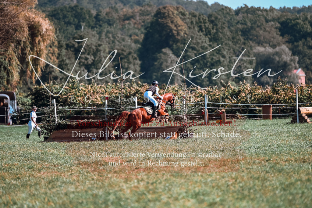 DSC_0875 | Pferde- und Turnierfotografie in Westsachsen. Pferdeportraits, Auftragszeichnungen und intuitive Kunst.