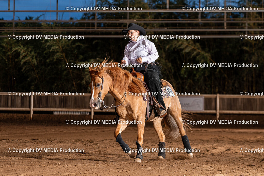 Erbach Tag 1-1253 | dv-media-shop - Realisiert mit Pictrs.com