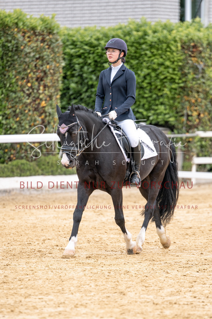 Schugtsche-Aluta25-40.DressurprfA_-476 | Schugtsche Fotografie - Realisiert mit Pictrs.com