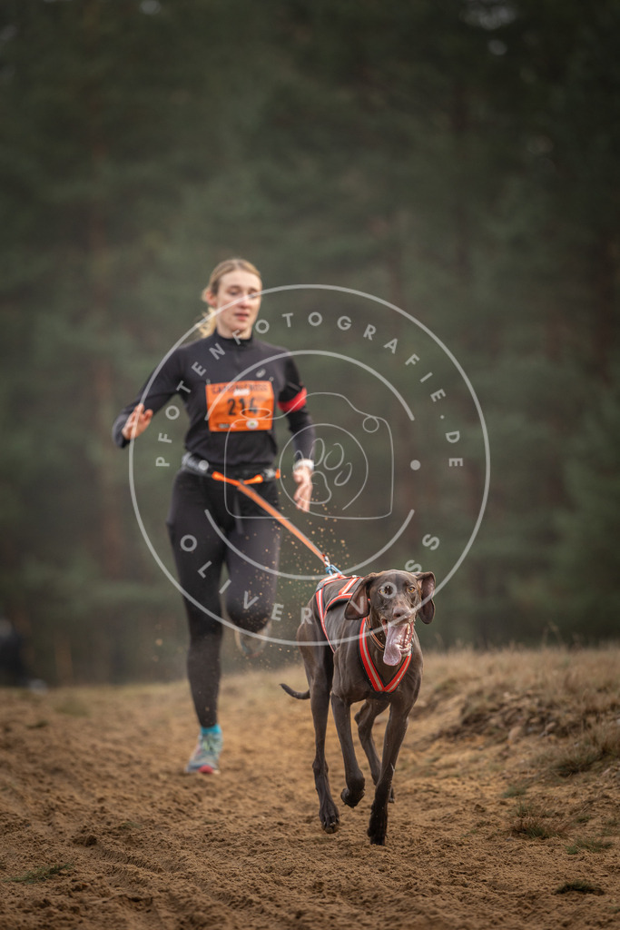 Pfotenfotografie_DV3A5237 | Hundefotografie, Tierfotograf, Pfotenfotografie, Fotoshooting Hund, Hunde Portrait, Hundesport, Hundeportraits, Heideshooting, Hunde, Sportfotograf, Hundefotograf, Turnierhundsport, THS,  - Realisiert mit Pictrs.com