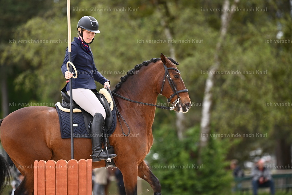 PI26_ST_Sara_Landvogt226_3977.JPG | working equitationturnier fotograf videograf stoibphotography marixx film working equitation deutschland reitsport turnierfotografie eventfotografie equestrian events