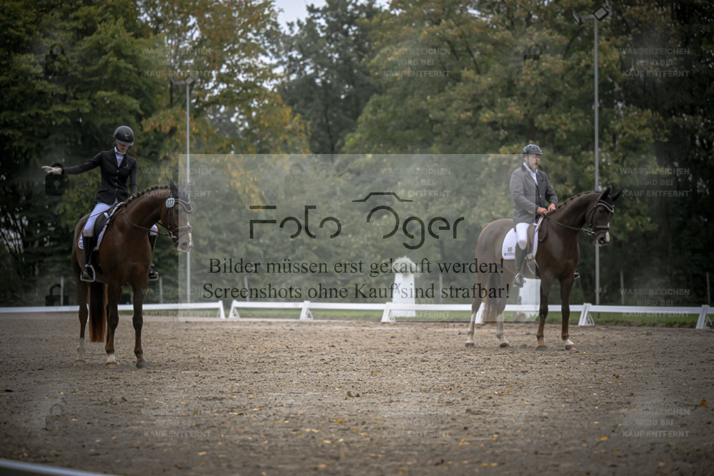 FOTO OGER | Entdecke hochwertige Reitturnierfotos von Foto Oger. Professionell, emotional und authentisch – jetzt Lieblingsmomente im Shop bestellen. - Realisiert mit Pictrs.com