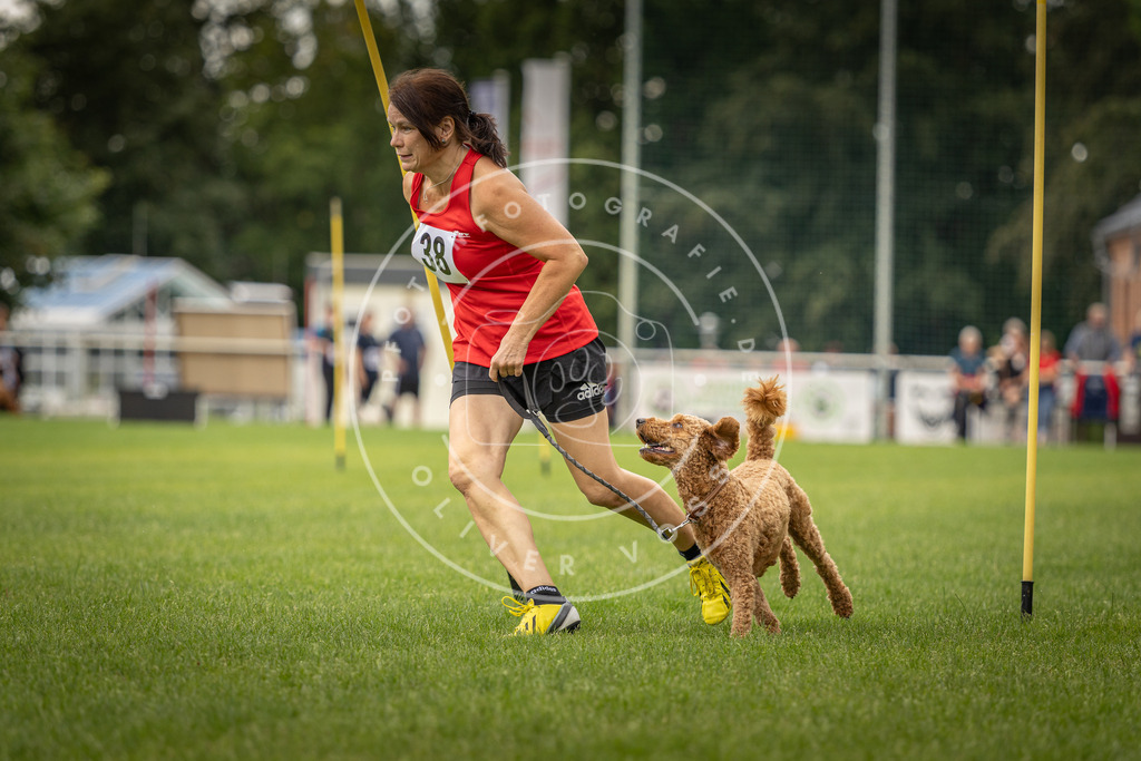 Pfotenfotografie_DV3A2788 | Hundefotografie, Tierfotograf, Pfotenfotografie, Fotoshooting Hund, Hunde Portrait, Hundesport, Hundeportraits, Heideshooting, Hunde, Sportfotograf, Hundefotograf, Turnierhundsport, THS,  - Realisiert mit Pictrs.com