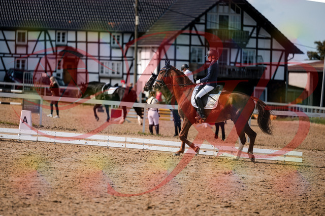 2026_10_03_Siefer-Hof_132808_Z63_87981054 | Professionelle Reitsport-, Turnier- und Eventfotografie von Robert Broda. Galerien mit ausgewählten und bearbeiteten Bildern direkt online ansehen und bestellen.